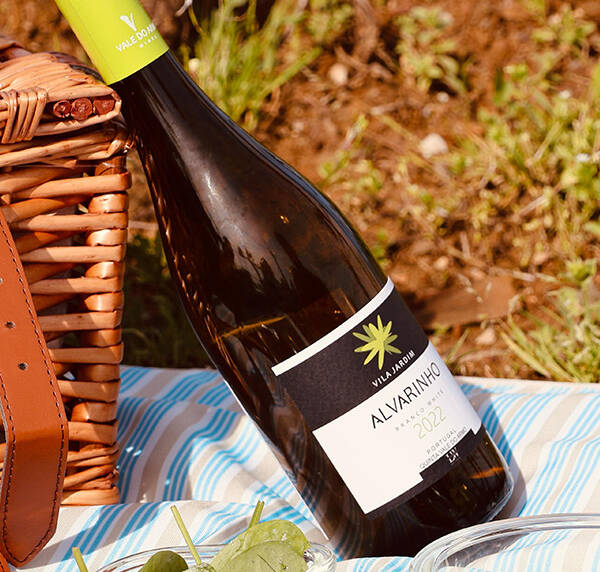 PICNIC-AMONG-THE-VINES
